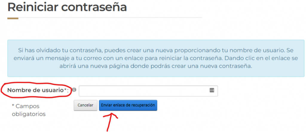 recuperar contraseña sinavid