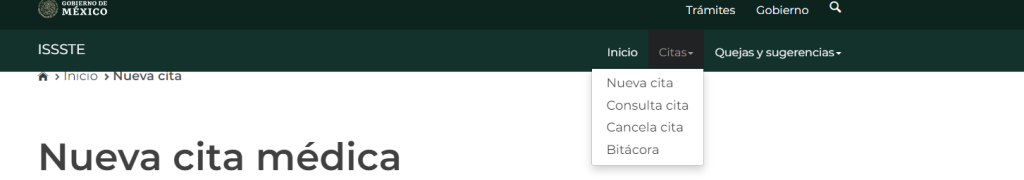 cita medica issste